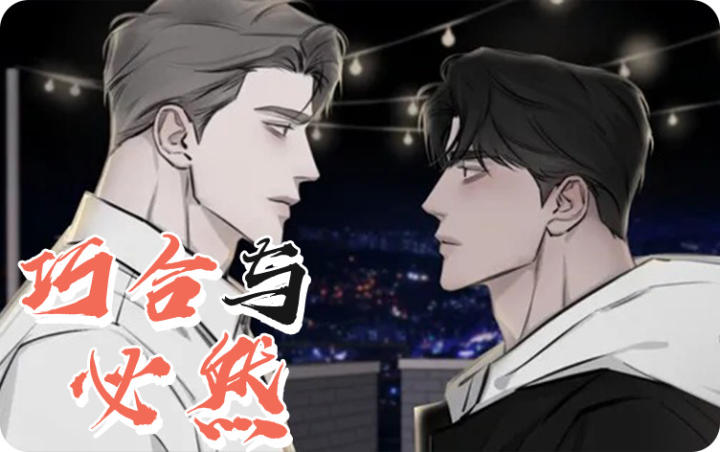 巧合与必然漫画封面