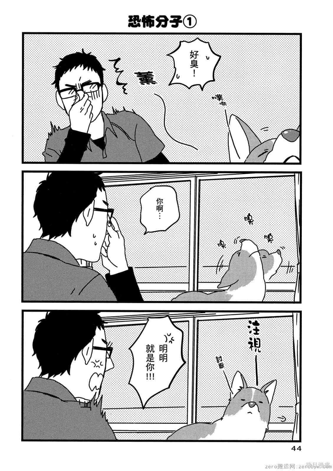 第45页