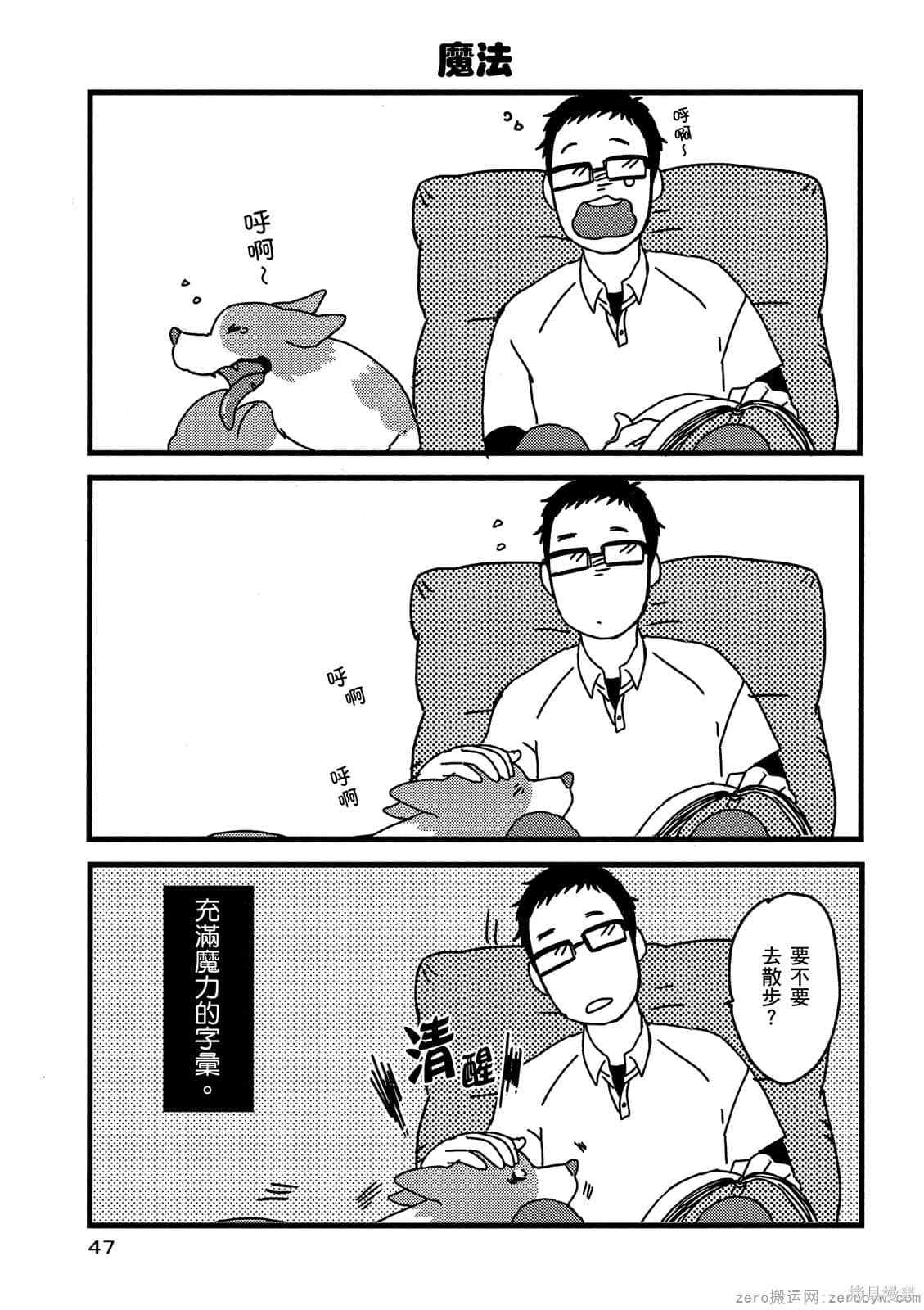 第48页