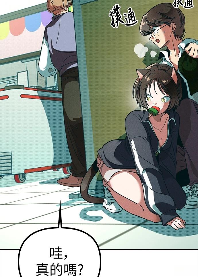 第196页