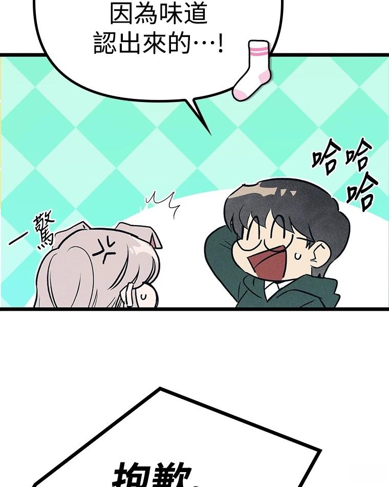第228页