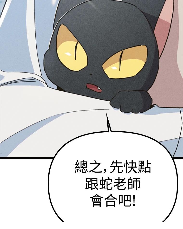 第241页