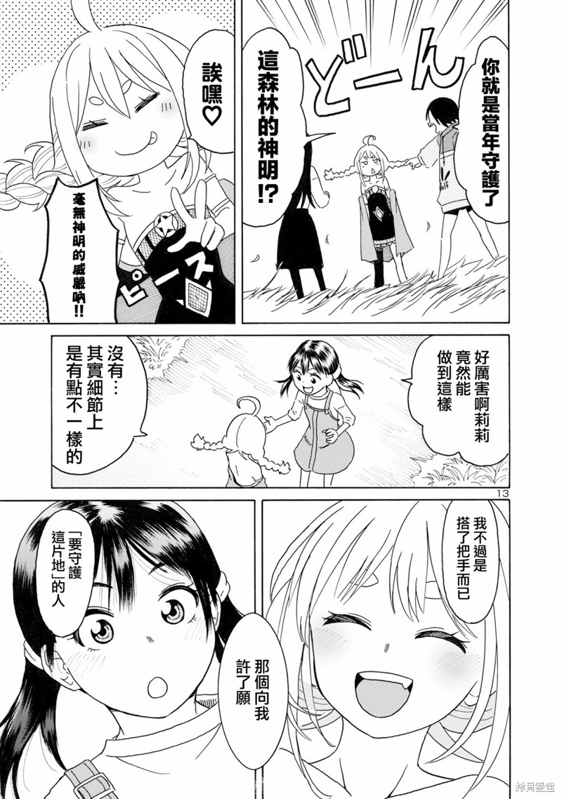 第13页